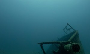 Stekfoto