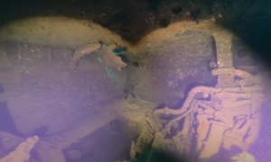 Stekfoto