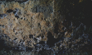 Stekfoto