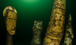 Stekfoto