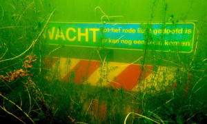 Stekfoto