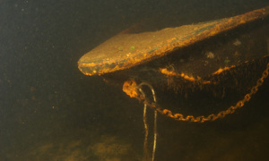 Stekfoto