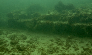 Stekfoto