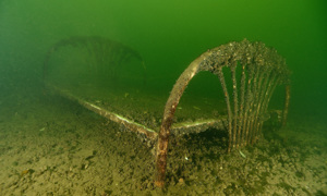 Stekfoto