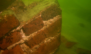 Stekfoto