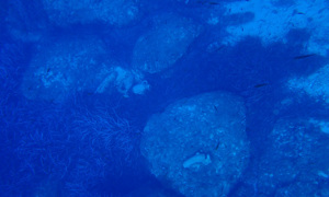 Stekfoto