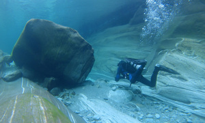 Stekfoto