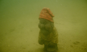 Stekfoto