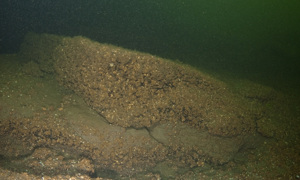 Stekfoto