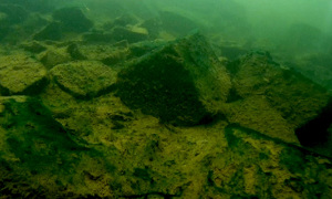 Stekfoto
