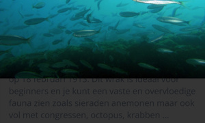 Stekfoto