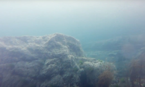 Stekfoto