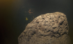 Stekfoto